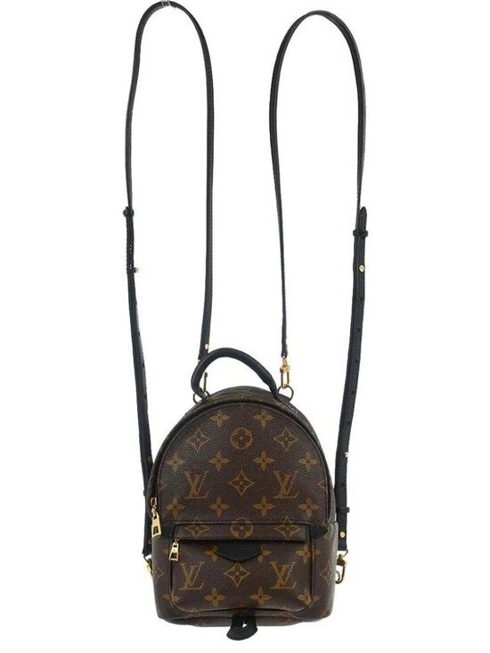 Louis Vuitton Palm Springs Mini Backpack M44873 CA2128 166938 main image 4